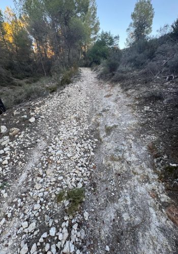 Camino Romano