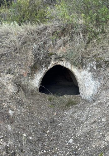 Cuevas Champiñón