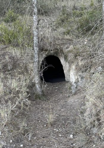 Cuevas Champiñón