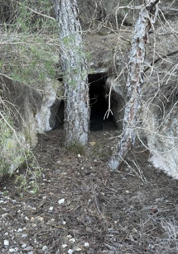 Cuevas Champiñón