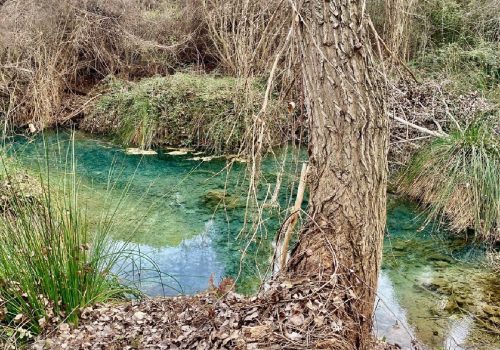 Nacimiento Charco Azul