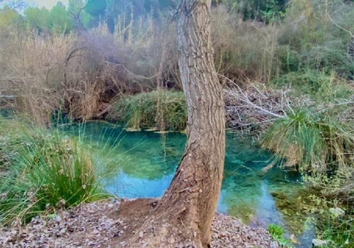 Nacimiento Charco Azul